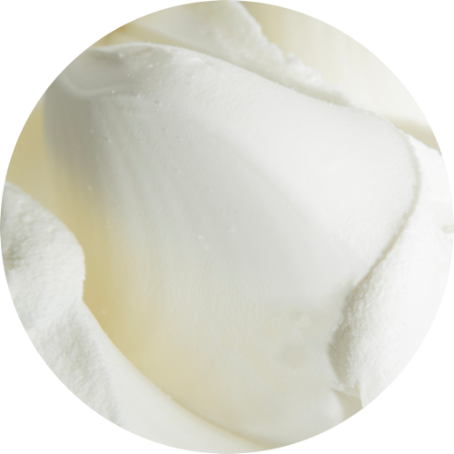 PreGel - Vegan Base (8 x 2kg Case) - Vegan Gelato Base-0